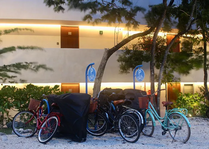 Apartamento New Pool Clubhouse The Leaf Playacar *